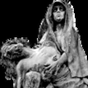 Meet your Posher, Layla